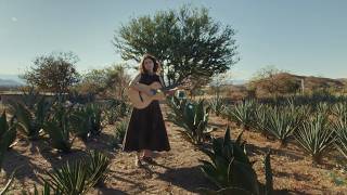 Silvana Estrada — Cada Día Te Extraño Menos (desde Oaxaca)