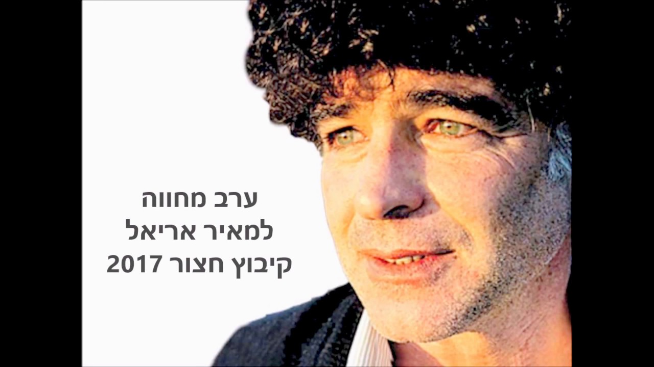מאיר אריאל