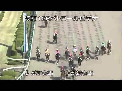 菱田騎手が武豊騎手にエルボーをかまして騎乗停止　20150418阪神12Rパトロールビデオ