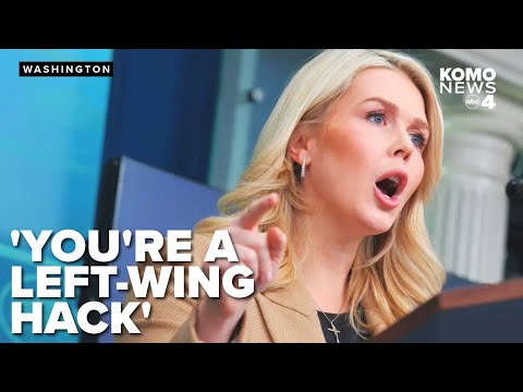 Leavitt accuses reporter of bias after questioning her about ICE deaths, Renee Good fatal shooting