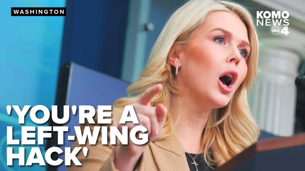 Leavitt accuses reporter of bias after questioning her about ICE deaths, Renee Good fatal shooting