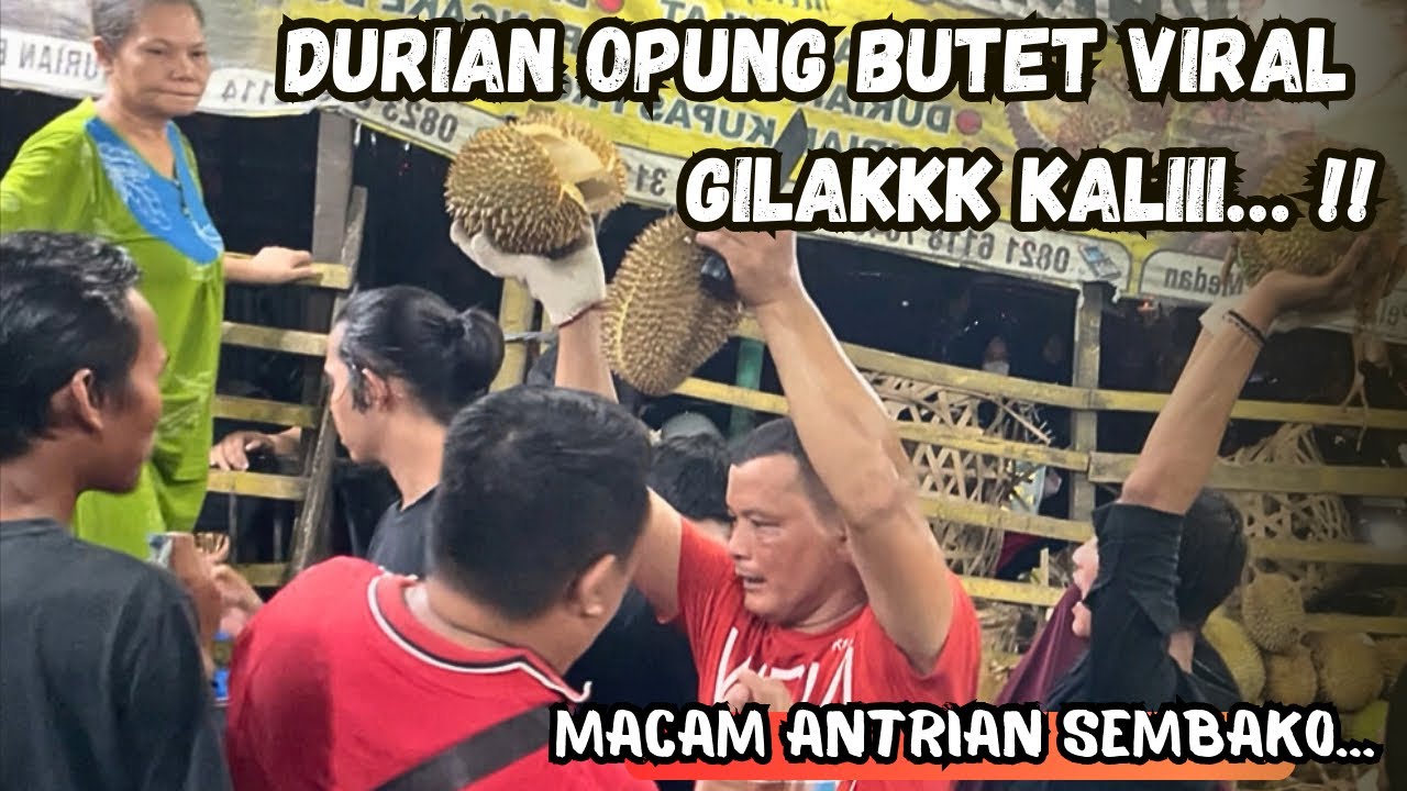 DURIAN BUTET VIRAL, MACAM ANTRIAN SEMBAKO‼️