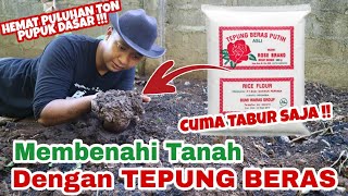 Entah Berapa TON Pupuk yang bisa DIHEMAT dengan cara ini!!! | Rice Flour For Soil Fertilizer