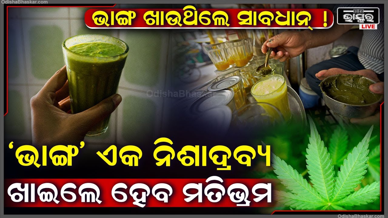 ଭାଙ୍ଗ ଖାଉଥିଲେ ହୋଇଯାଆନ୍ତୁ ସାବଧାନ୍, ସରକାର କଲେ ବଡ଼ ଘୋଷଣା, ଭାଙ୍ଗ ଖାଇଲେ ହେବ ମତିଭ୍ରମ