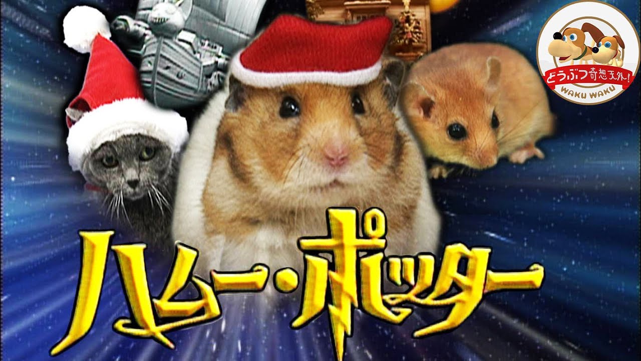 【XmasハムスターSF】ハムー・ポッターと炎のネコ男爵【どうぶつ奇想天外／WAKUWAKU】