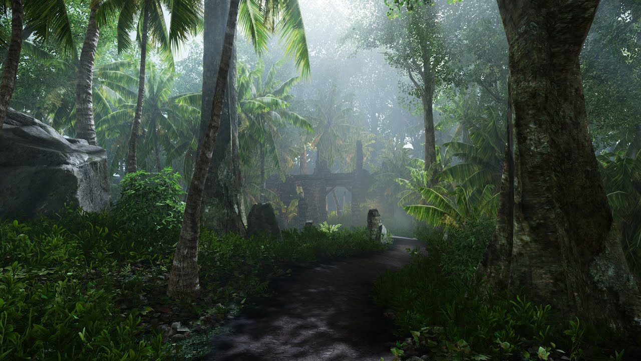 Jungle Scene 6