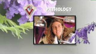 Avondale College Maths and Science Degrees