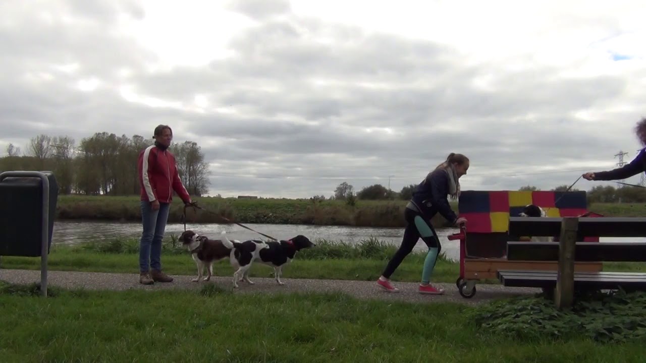 Piter Jelles YnSicht CKV WEEK - Holle Bolle Hans en Mietje