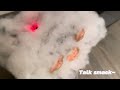 《Talk Smack-》 02 sound sensor