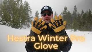 Hestra Winter Pro WP Glove -  A Great Hestra Glove for Under $40!