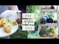 מה אני עושה בחיים? טיפים לגידול דלועים, מתכון פרחי קיץ טעים, פרמקולצ׳ר.