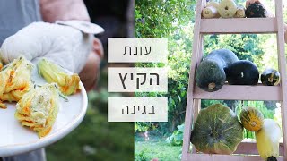 מה אני עושה בחיים? טיפים לגידול דלועים, מתכון פרחי קיץ טעים, פרמקולצ׳ר.