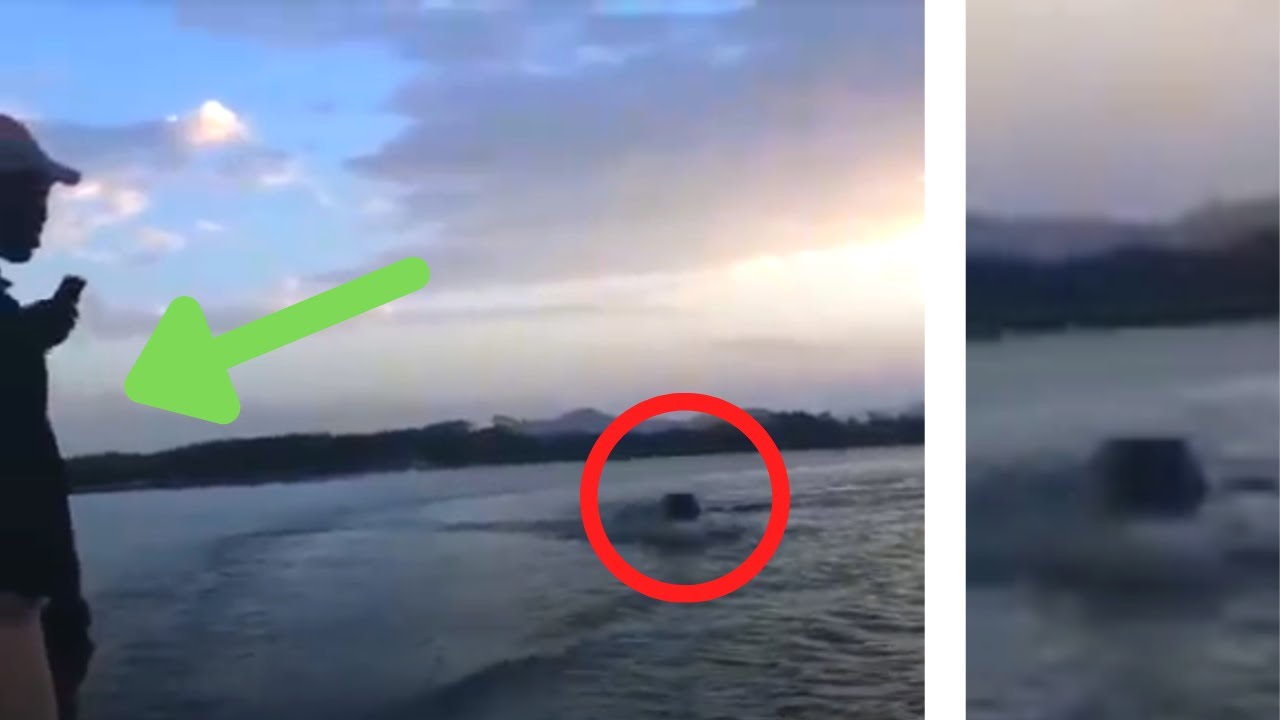 6 Hippo Encounters You Should Not Watch