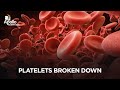 What are Platelets| What happens if the platelets counts are high or low| Apollo Hospitals