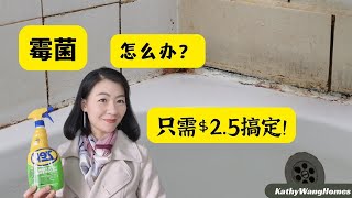 清除霉菌——家里浴室、浴缸、洗手池等阴暗角落的霉菌,只需$2.5搞定!
