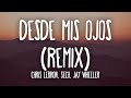 Chris Lebron, Sech, Jay Wheeler - Desde Mis Ojos Remix (Letra/Lyrics)