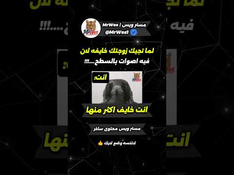 لما تجيك زوجتك خايفه لان فيه اصوات بالسطح ضحك