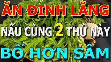 Buổi tối CỨ ĂN ĐINH LĂNG nấu cùng THỨ Này Sẽ NGỦ NGON, GAN, THẬN SẠCH ĐỘC Khỏi XƯƠNG KHỚP