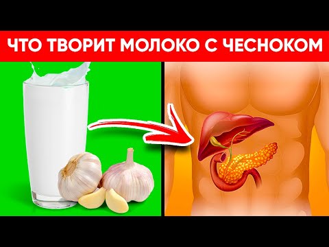 Video: Чоңдорго сүт ичүү зыяндуубу?