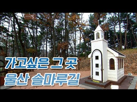 잔잔한 여유를 찾고 싶을 때, 울산 솔마루길