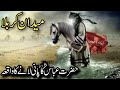 Hazrat Abbas ka Pani lany ka wakia | Hazrat Abbas| Waqia e Karbala | واقعہ کربلا | Muharram Bayan 24