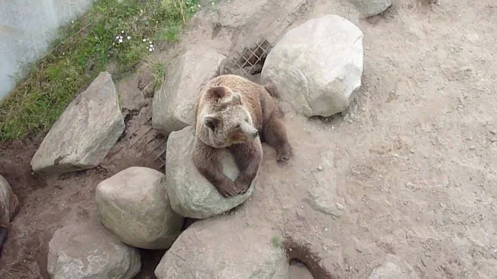 Panasonic Lumix DMC-TZ7 - HD Video