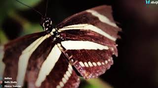 Nada Vuelve A Ser Igual Dos Veces