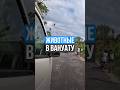 Вануату: зоопарк, где почти нет млекопитающих! #зоопарк #природа #путешествия
