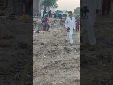 #video #viralshorts #viralvideo #kobra