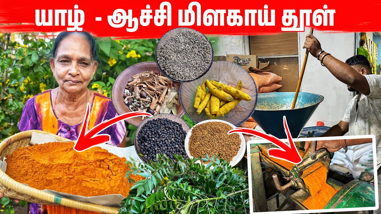 கிராமத்து ஆச்சியின் தரமான மிளகாய் தூள் | Jaffna Best Chili powder