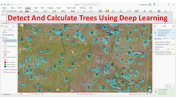 ArcGIS Pro Detect and calculate Trees using deep learning