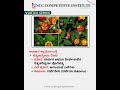 Lantana camara 🌿 | Why This Invasive Plant Is Spreading Fast? | Climate Change Impact