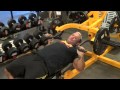 Lee Priest Bench Press