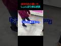 お小遣い使ったのに、取れなかった… #ufoキャッチャー