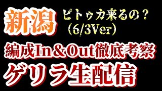 【ゲリラ生配信】ディエゴピトゥカが新潟に？！【Jリーグ移籍市場/アルビレックス新潟】
