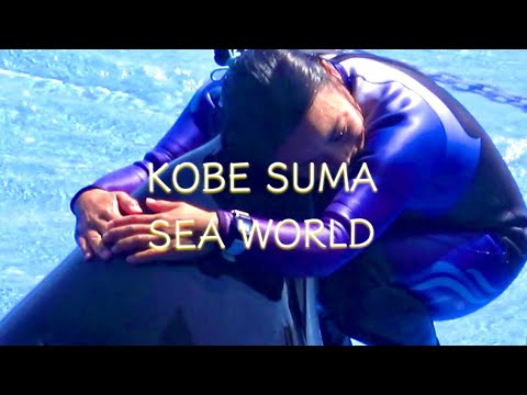須磨シーワールド　オルカ 神戸須磨シーワールド オルカパフォーマンス 2025.7.27 11:00