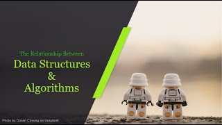 The Relationship between Data Structures and Algorithms