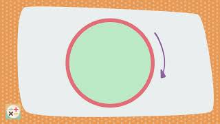 What is the order of rotational symmetry of a circle?