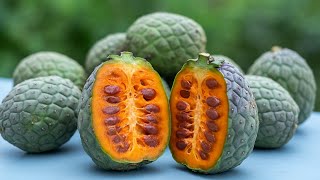 Unreal Tropical Fruits From Around The World Youve Never Seen These