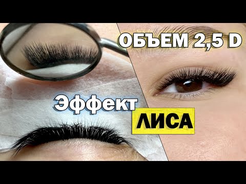 ОБЪЕМНОЕ НАРАЩИВАНИЕ РЕСНИЦ 2,5D в лисьем эффекте (Изгиб L). Все этапы построения схемы