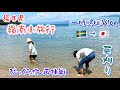 【一時帰国Vlog🇸🇪→🇯🇵】草刈りと福井県嶺南小旅行【その8】