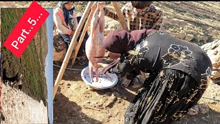 nomad: building houses/butchering goat by woman #nomad #house #butcher