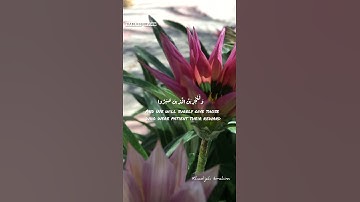 سورة النحل اية ٩٦