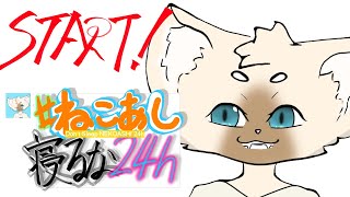 #ねこあし寝るな24ｈ　はじまり！　#キャットフットーク