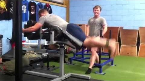 Modified Reverse Hyperextension