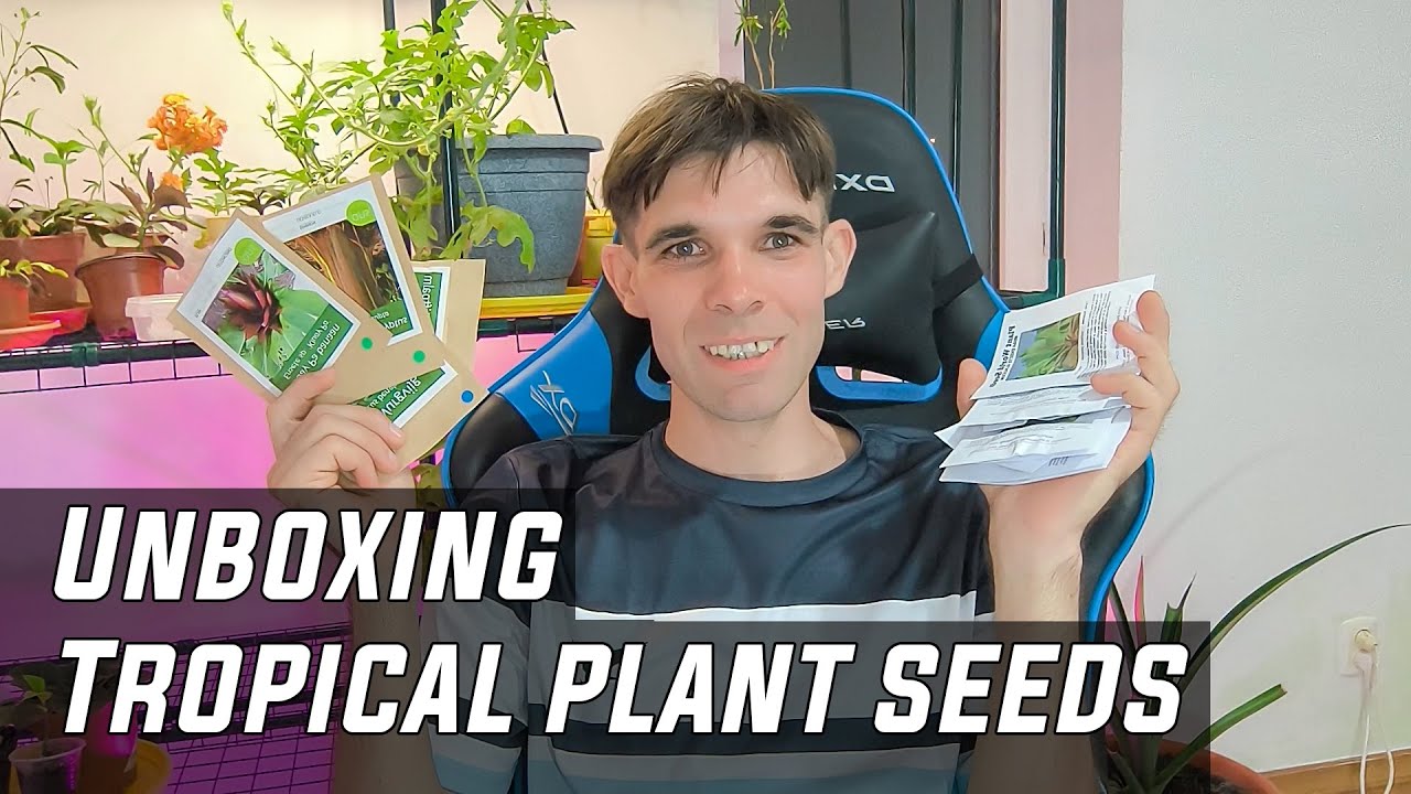 Unboxing tropical plant seeds