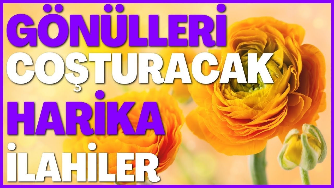 ÇEKMEYENLER NE BİLSİN ZİKRULLAHIN ADINI🌹 İLLA HU HEMEN HU 🌹 Bu İLAHİLER ÇOŞTURUR