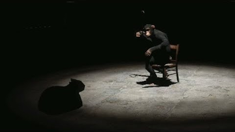 Chimp Banishes Shadows From Realm | Garry