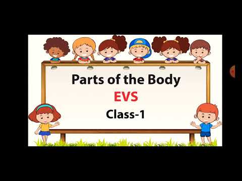 Parts Of The