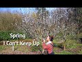 Daily farm life  spring  things are changing fast  vlog 23